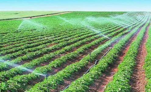 在线草B视频农田高 效节水灌溉